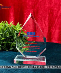 KỶ NIỆM CHƯƠNG PHA LÊ - KNC019