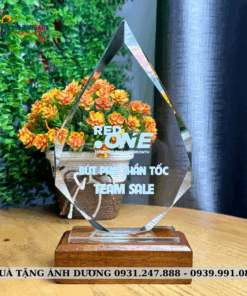 CUP PHA LÊ - CPL004