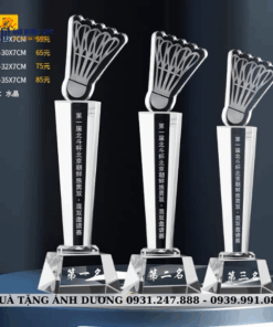 CUP GOLF - CẦU LÔNG - BÓNG - CTT014