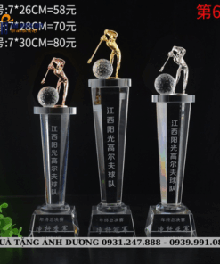 CUP KIM LOẠI - CKL037