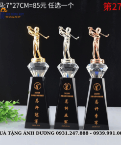 CUP KIM LOẠI - CKL036