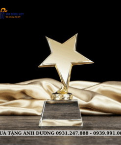 CUP KIM LOẠI - CKL029