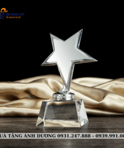 CUP KIM LOẠI - CKL028