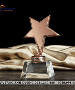 CUP KIM LOẠI - CKL027