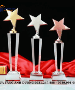 CUP KIM LOẠI - CKL025