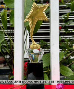 CUP KIM LOẠI - CKL023