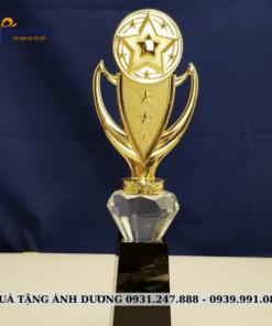 CUP KIM LOẠI - CKL024