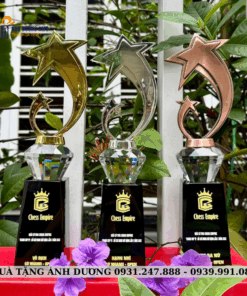 CUP KIM LOẠI - CKL021