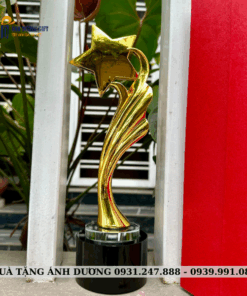 CUP KIM LOẠI - CKL020