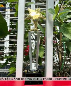 CUP KIM LOẠI - CKL015