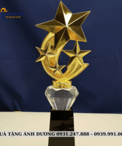 CUP KIM LOẠI - CKL014