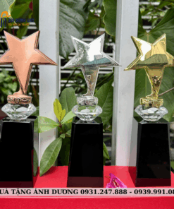 CUP KIM LOẠI - CKL012