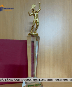 CUP KIM LOẠI - CKL005