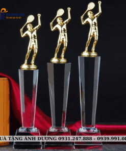 CUP KIM LOẠI - CKL002