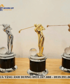 CUP KIM LOẠI - CKL001