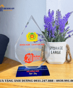 PHA LÊ HỌP LỚP - PLHL008