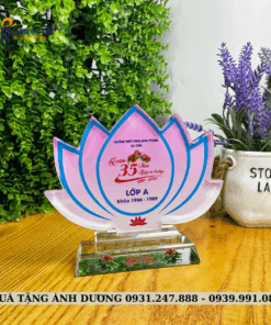 PHA LÊ HỌP LỚP - PLHL011