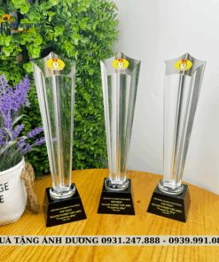 CUP PHA LÊ - CPL088