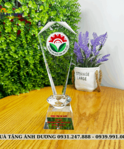 CUP PHA LÊ - CPL086