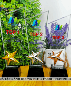 CUP PHA LÊ - CPL084