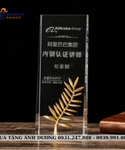 CUP PHA LÊ - CPL068