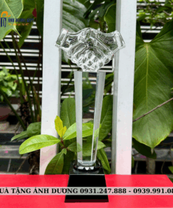 CUP PHA LÊ - CPL030